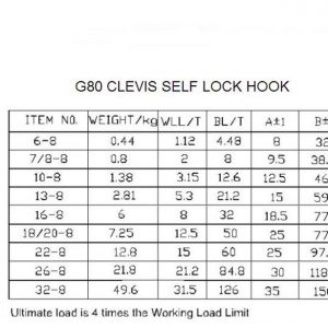 Clevis Slip Hook